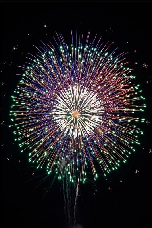 Peony burst aerial shell — multi-colour Diwali sky display